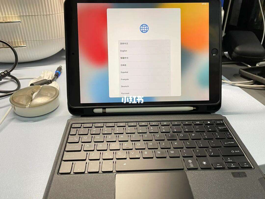 ipads策略單機(ipads單機啥意思)